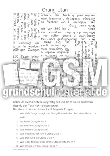 Orang-Utan.pdf